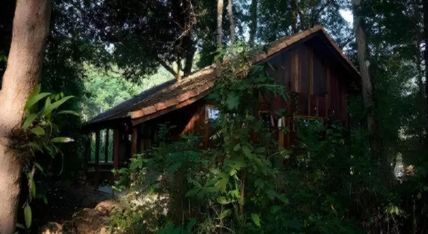 FOREST FLOOR LODGE